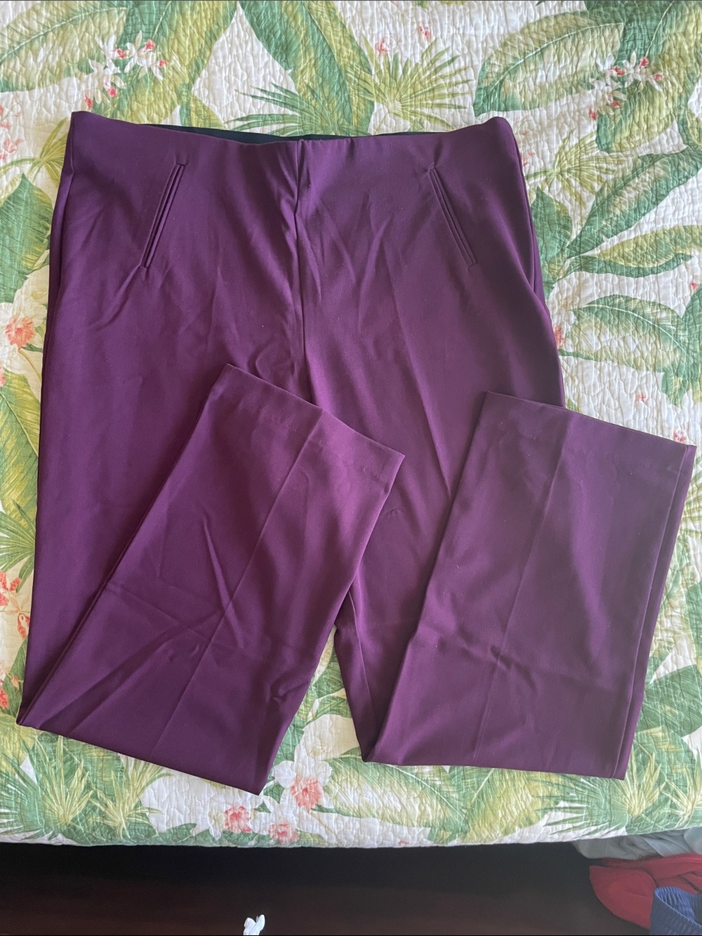 Plum Style and Co Dress Pants.